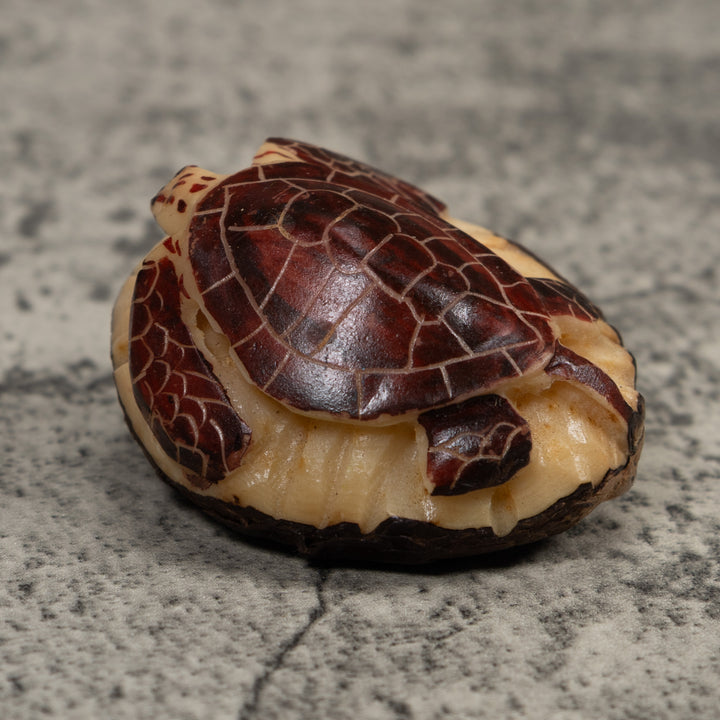 Sea Turtle Tagua Carving