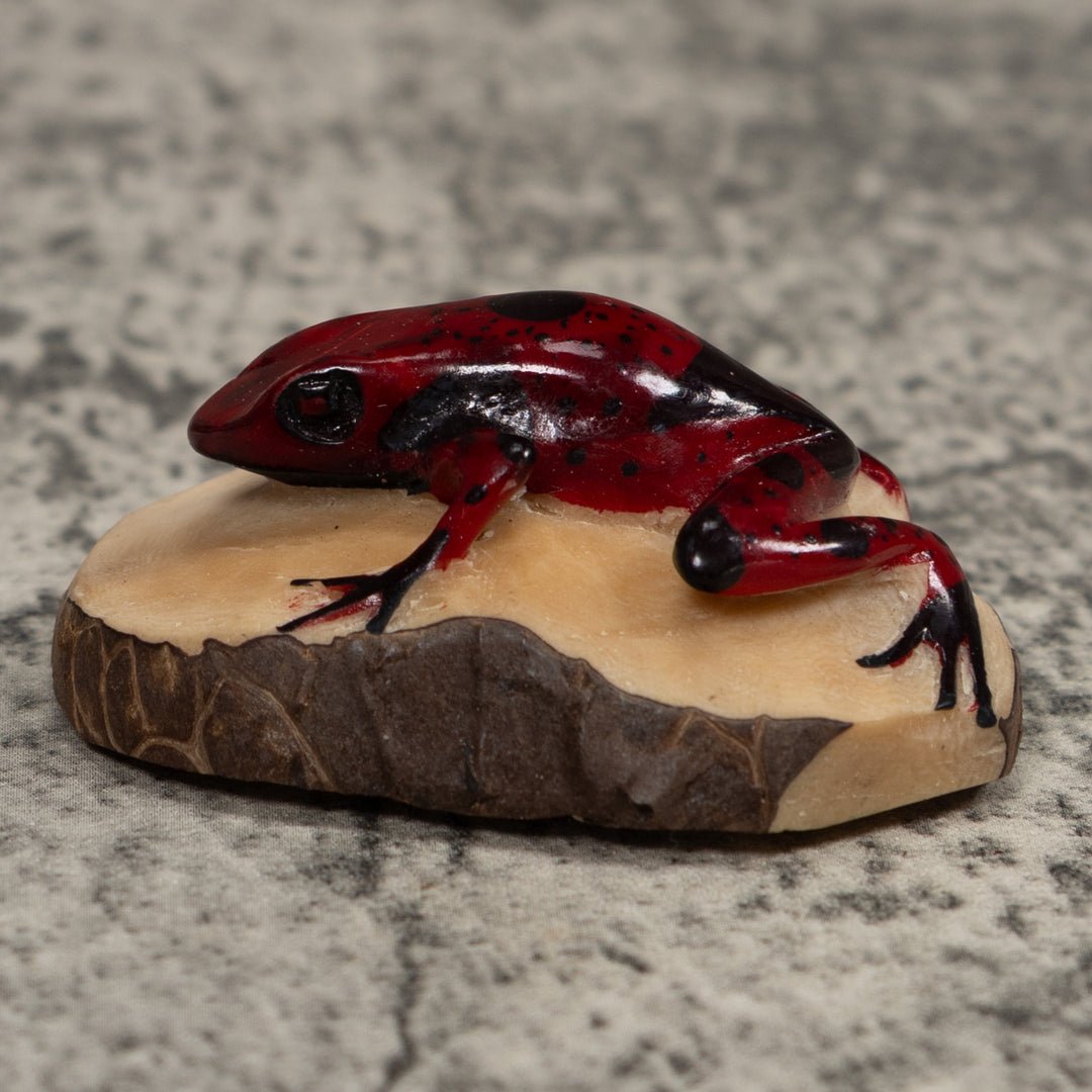 Vintage Red And Black Frog Tagua Carving