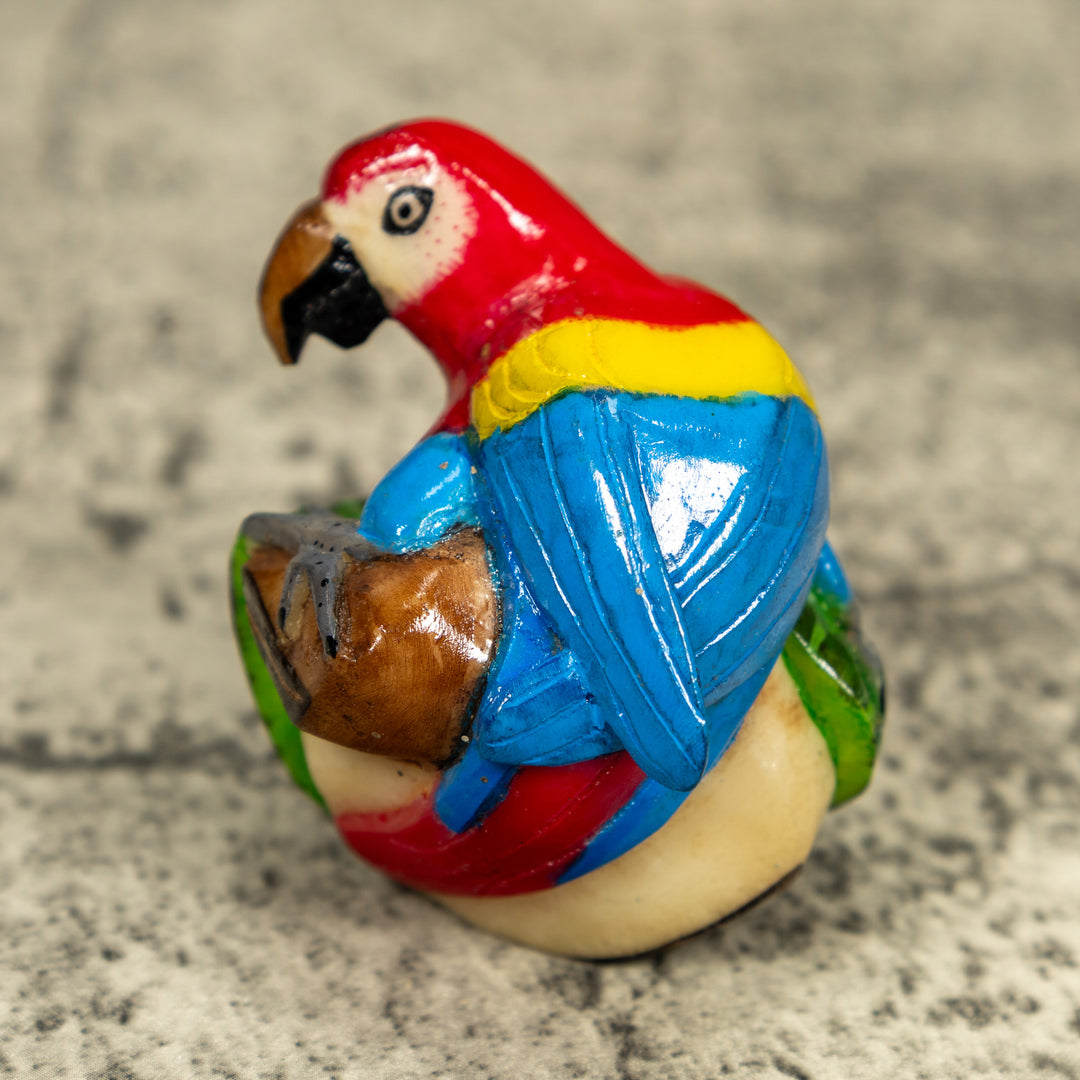 Macaw Parrot Bird Tagua Carving