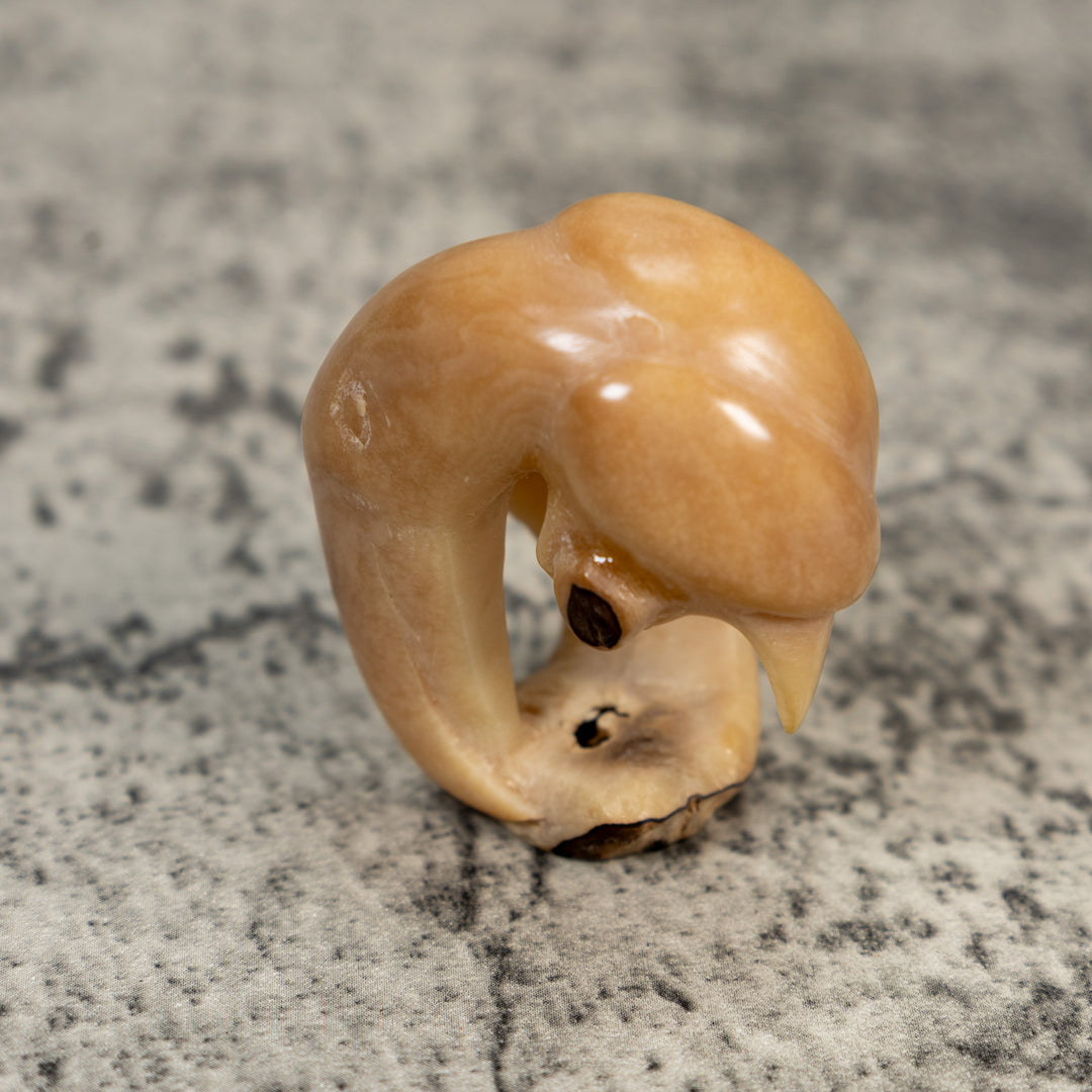 Vintage Natural White Toucan Parrot Bird Tagua Carving