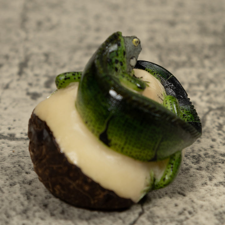 Iguana Lizard Reptile Tagua Carving