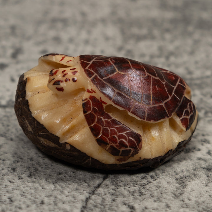 Sea Turtle Tagua Carving