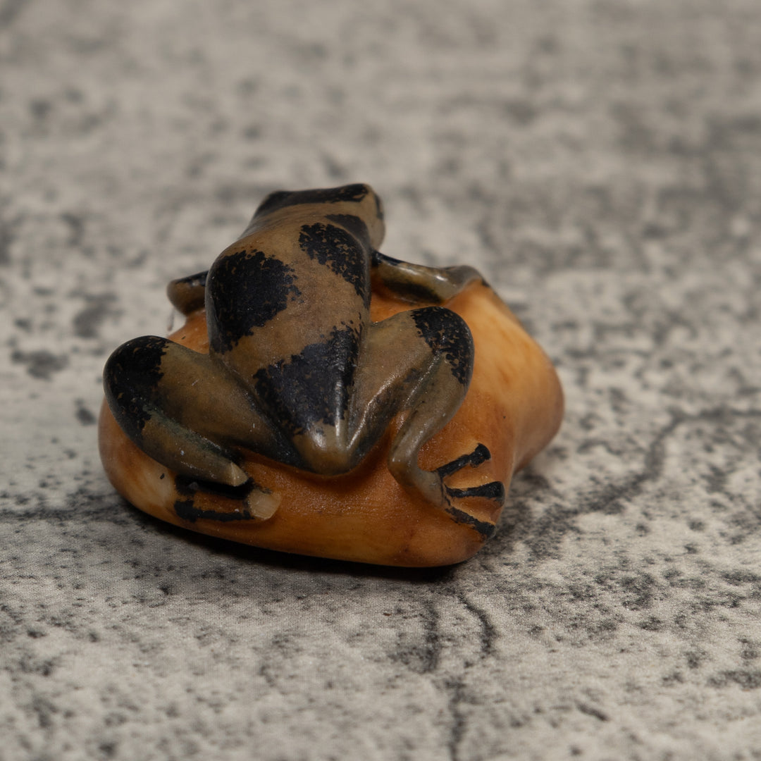 Vintage Green And Black Poison Dart Frog Tagua Carving