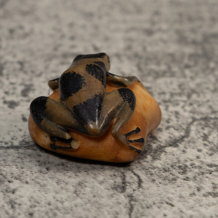 Vintage Green And Black Poison Dart Frog Tagua Carving