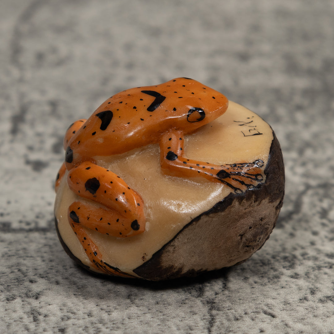 Vintage Poison Dart Frog Tagua Carving
