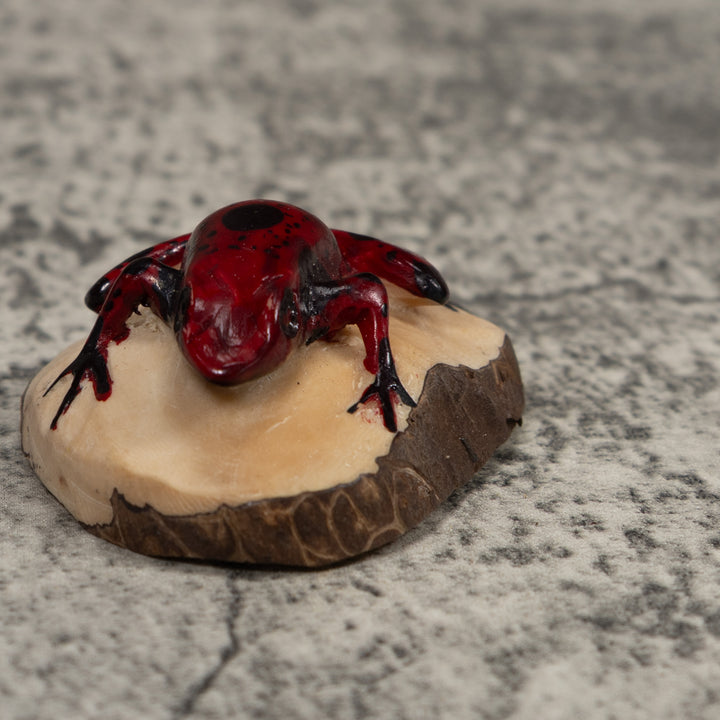 Vintage Red And Black Frog Tagua Carving