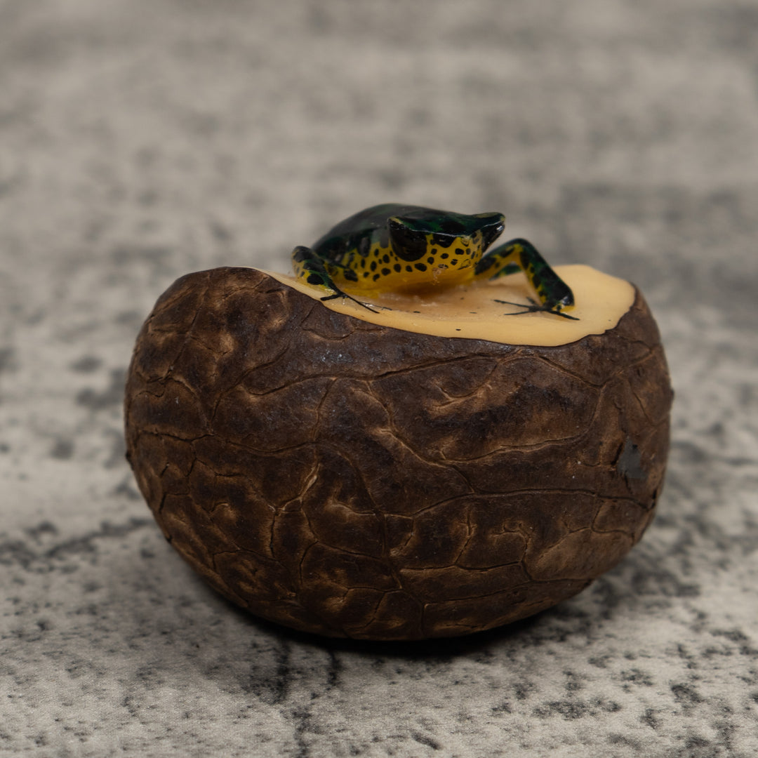 Poison Dart Frog Tagua Carving