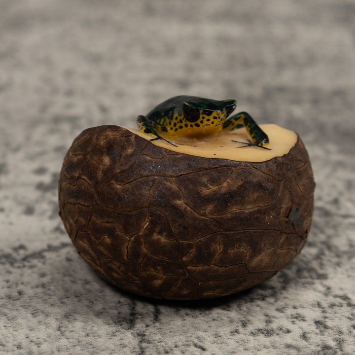 Poison Dart Frog Tagua Carving