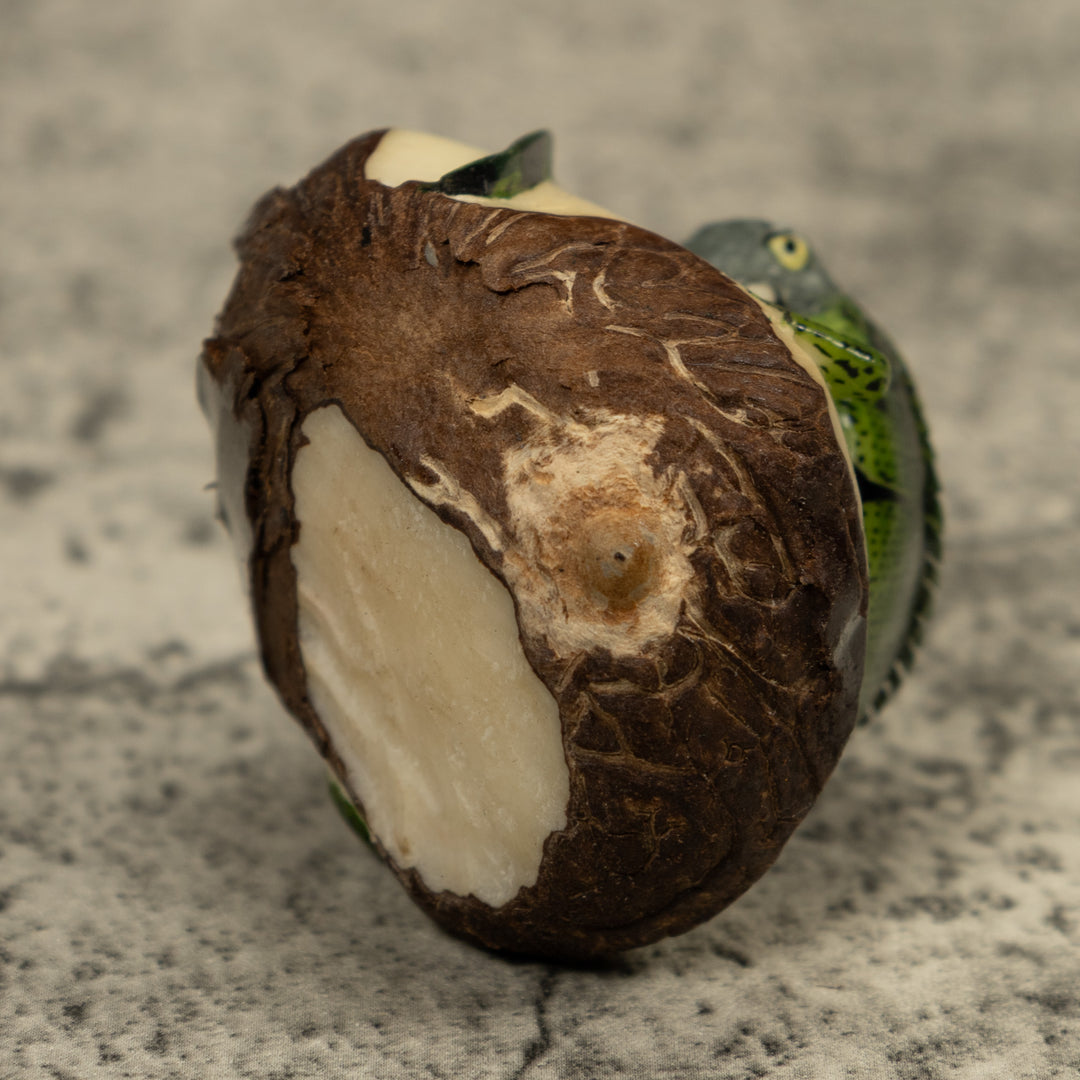 Iguana Lizard Reptile Tagua Carving