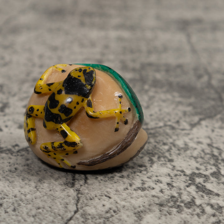 Poison Dart Frog Tagua Carving