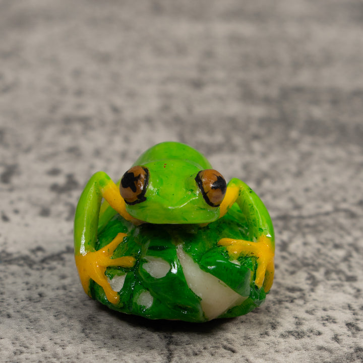Red-Eye Tree Frog Tagua Carving