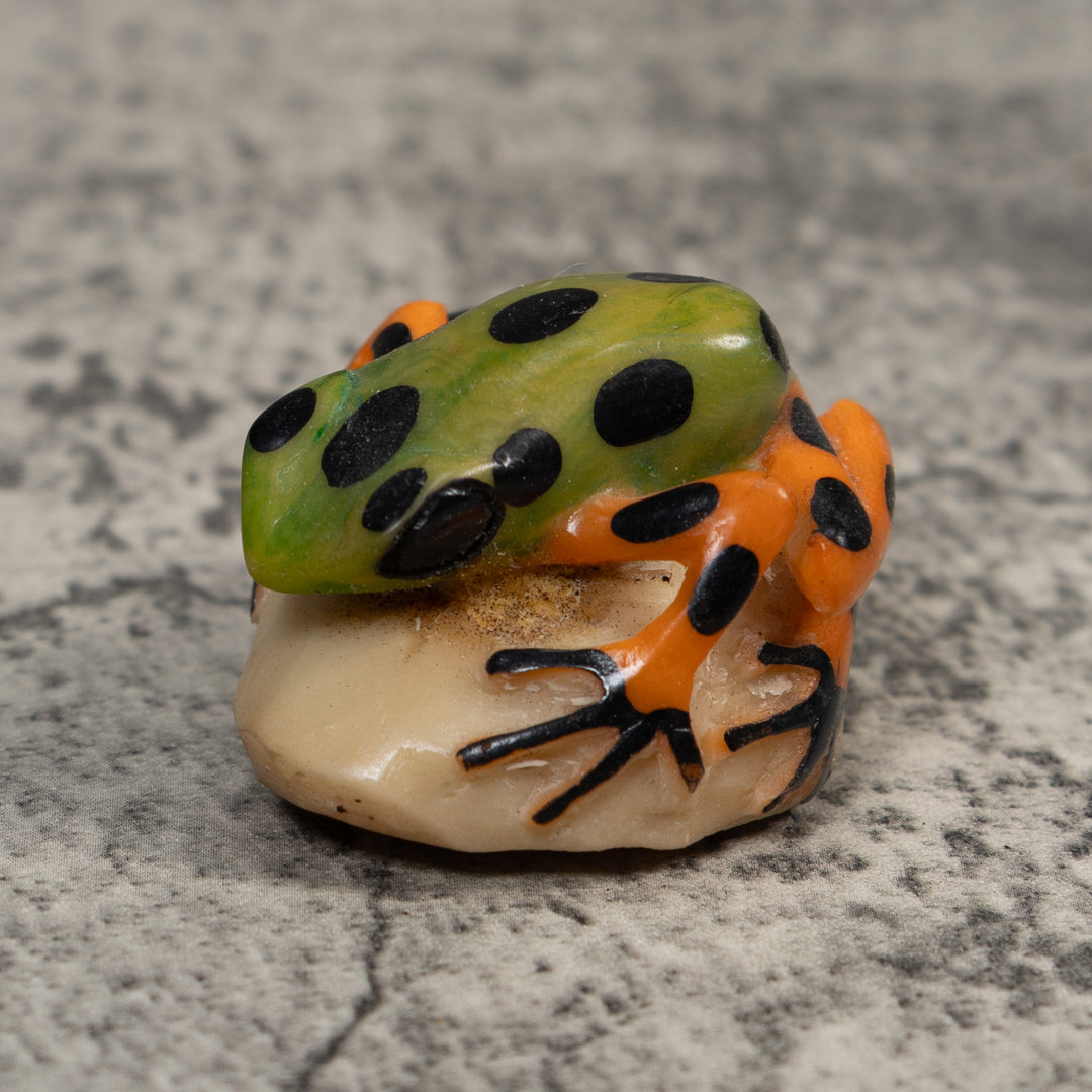 Orange Green And Black Poison Dart  Frog Tagua Carving