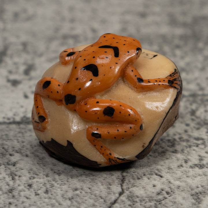 Vintage Poison Dart Frog Tagua Carving