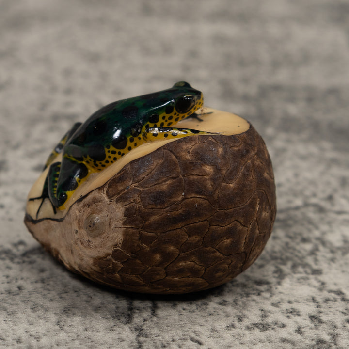 Poison Dart Frog Tagua Carving
