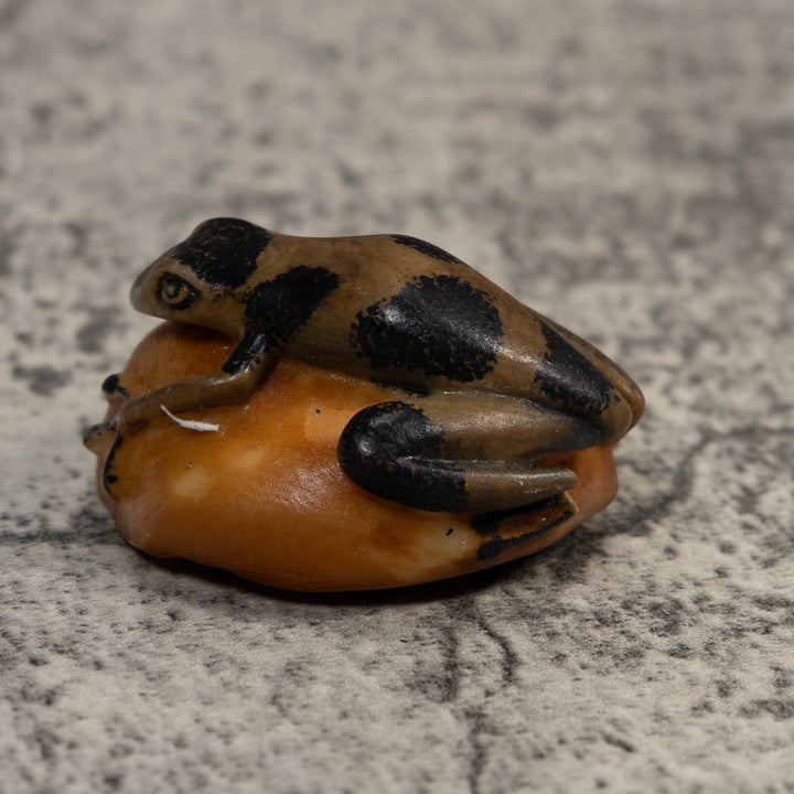 Vintage Green And Black Poison Dart Frog Tagua Carving