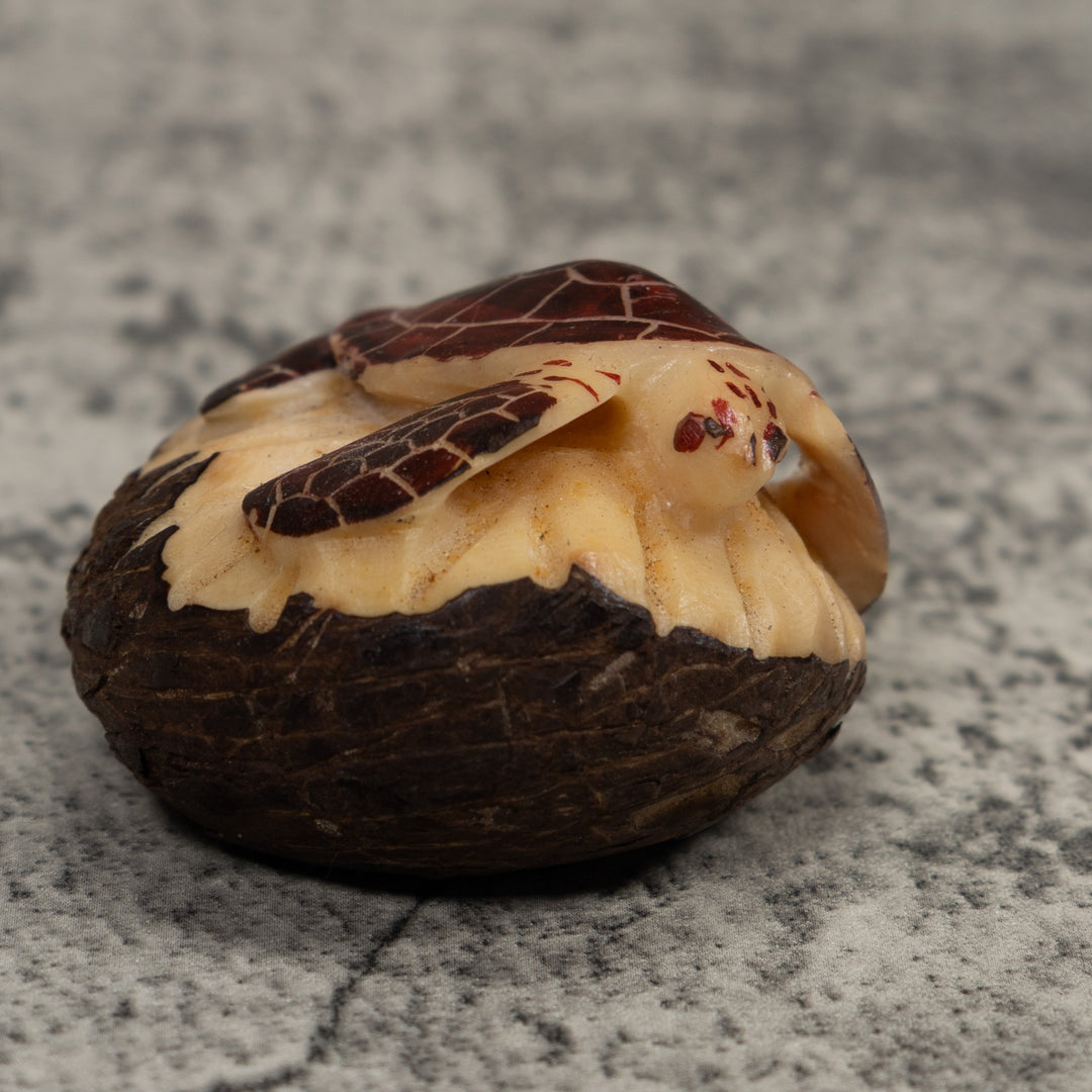 Sea Turtle Tagua Carving