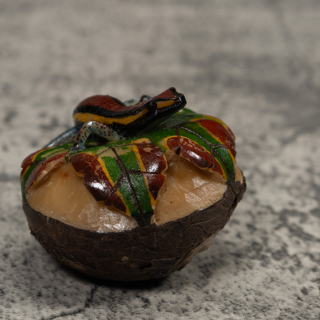 Poison Dart Frog Tagua Carving
