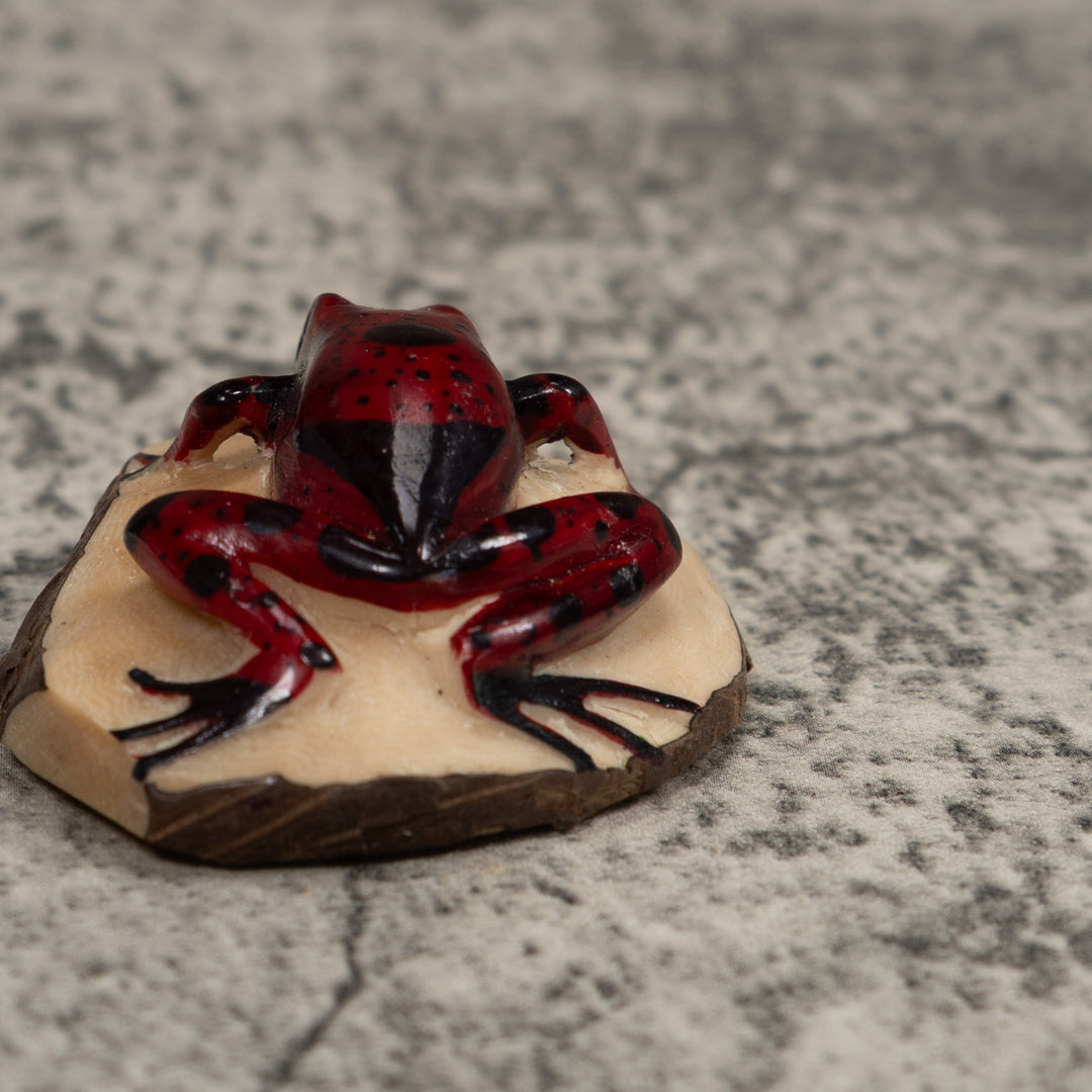 Vintage Red And Black Frog Tagua Carving