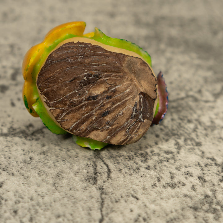 Hummingbird Tagua Carving