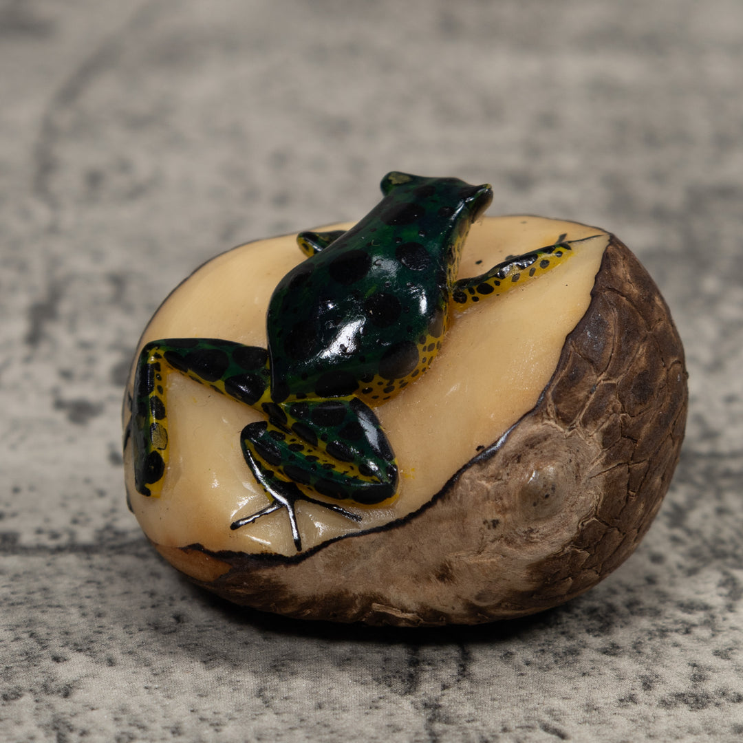 Poison Dart Frog Tagua Carving