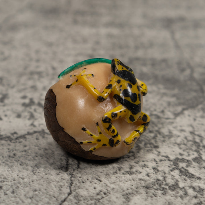 Poison Dart Frog Tagua Carving
