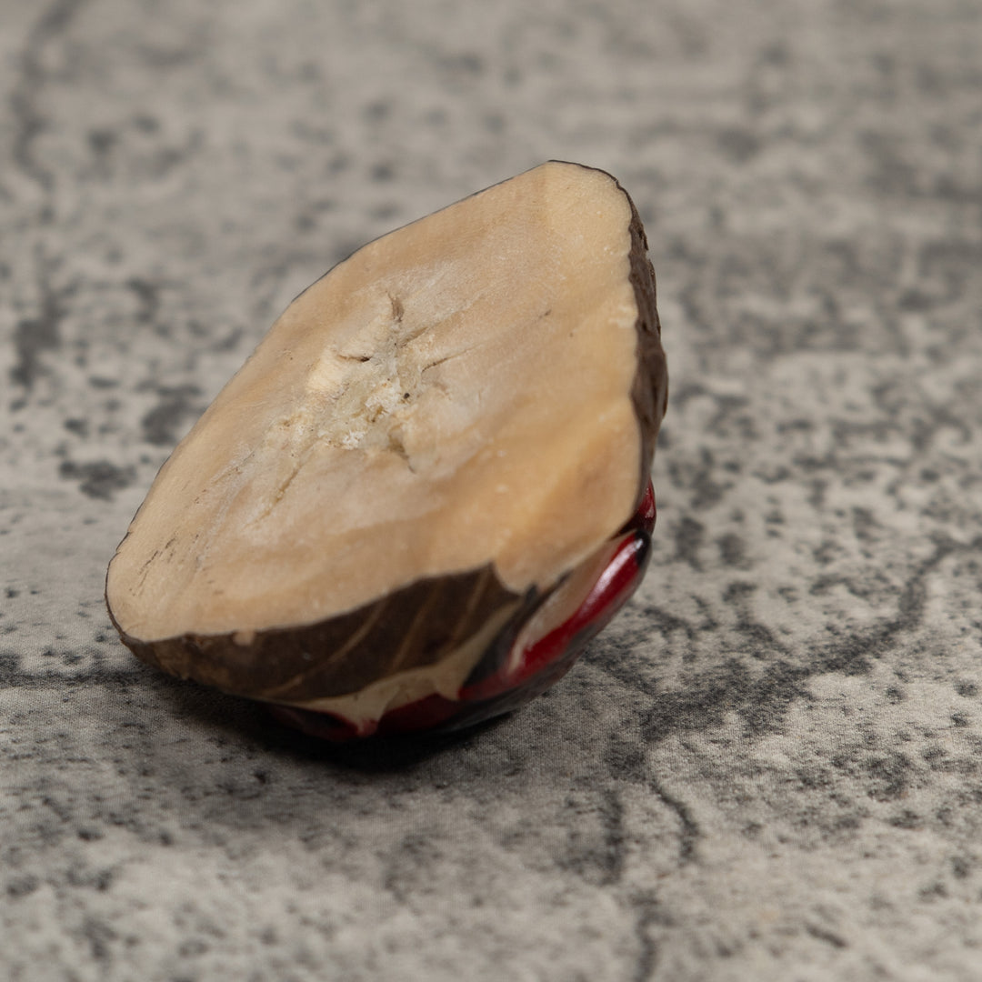 Vintage Red And Black Frog Tagua Carving