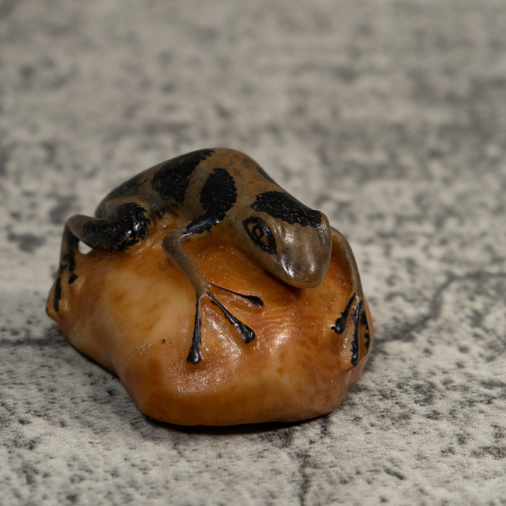 Vintage Green And Black Poison Dart Frog Tagua Carving