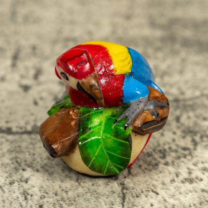 Macaw Parrot Bird Tagua Carving