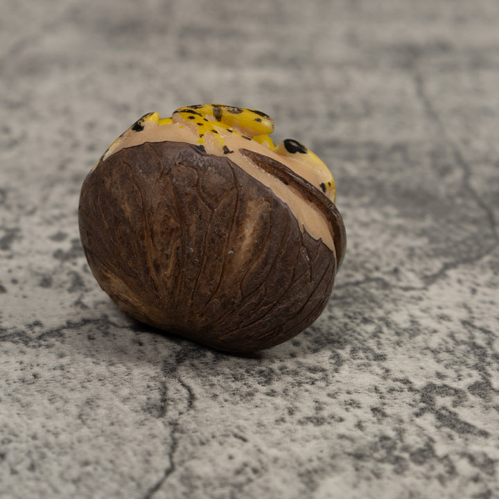 Poison Dart Frog Tagua Carving
