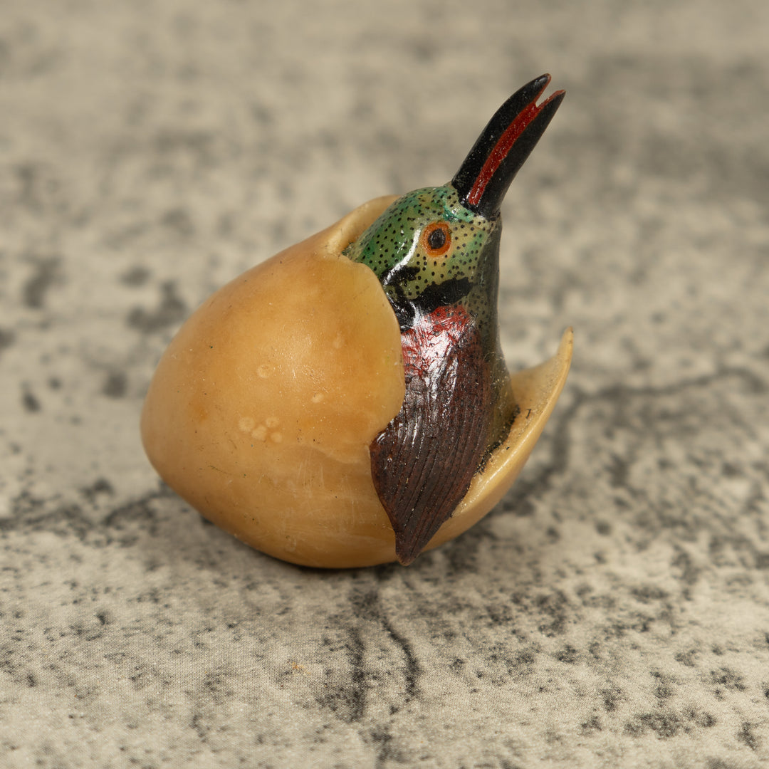 Vintage Seed Eater Bird Emerging From Egg Tagua Carving