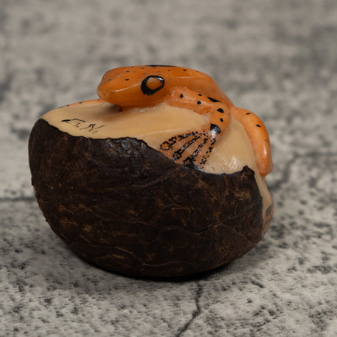 Vintage Poison Dart Frog Tagua Carving