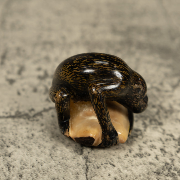 Howlar Monkey Tagua Carving