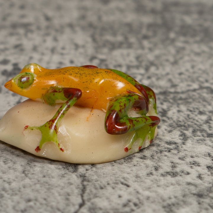 Poison Dart Frog Tagua Carving
