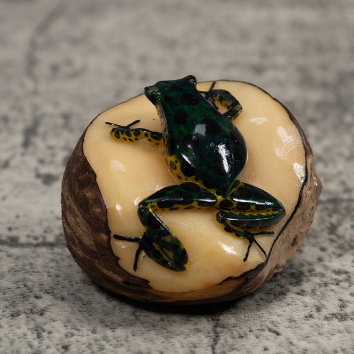 Poison Dart Frog Tagua Carving