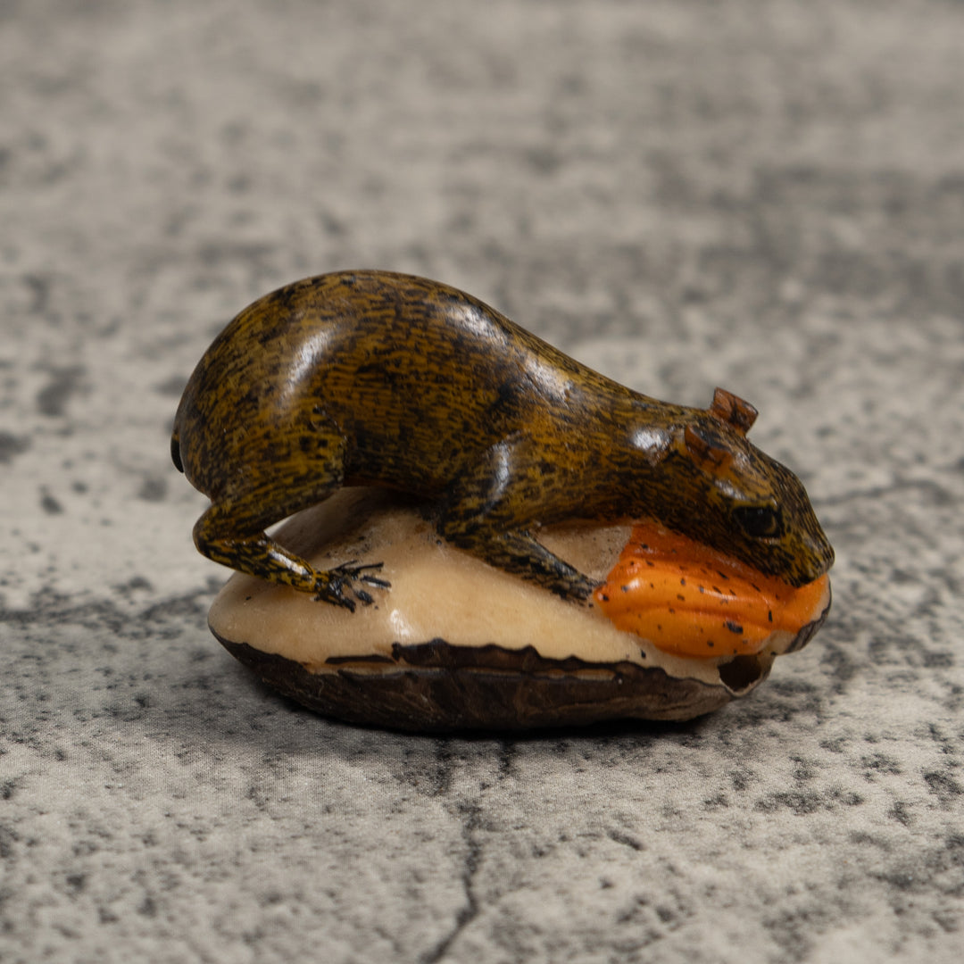 Brown Neque Agouti Eating Lunch Tagua Carving