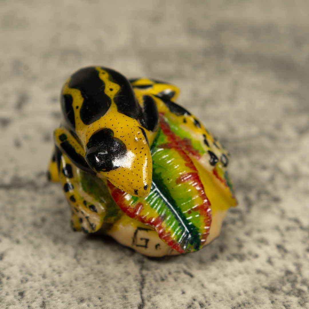 Black And Yellow Poison Dart Frog Tagua Carving
