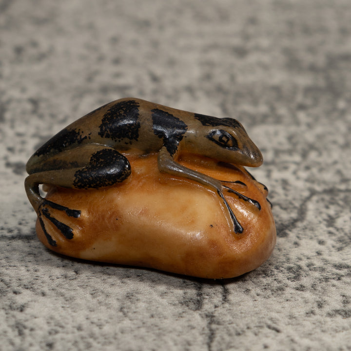 Vintage Green And Black Poison Dart Frog Tagua Carving