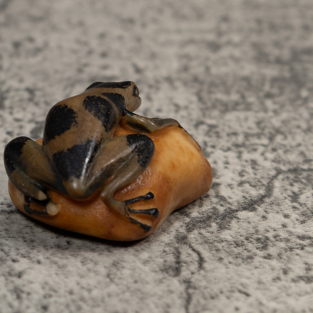 Vintage Green And Black Poison Dart Frog Tagua Carving