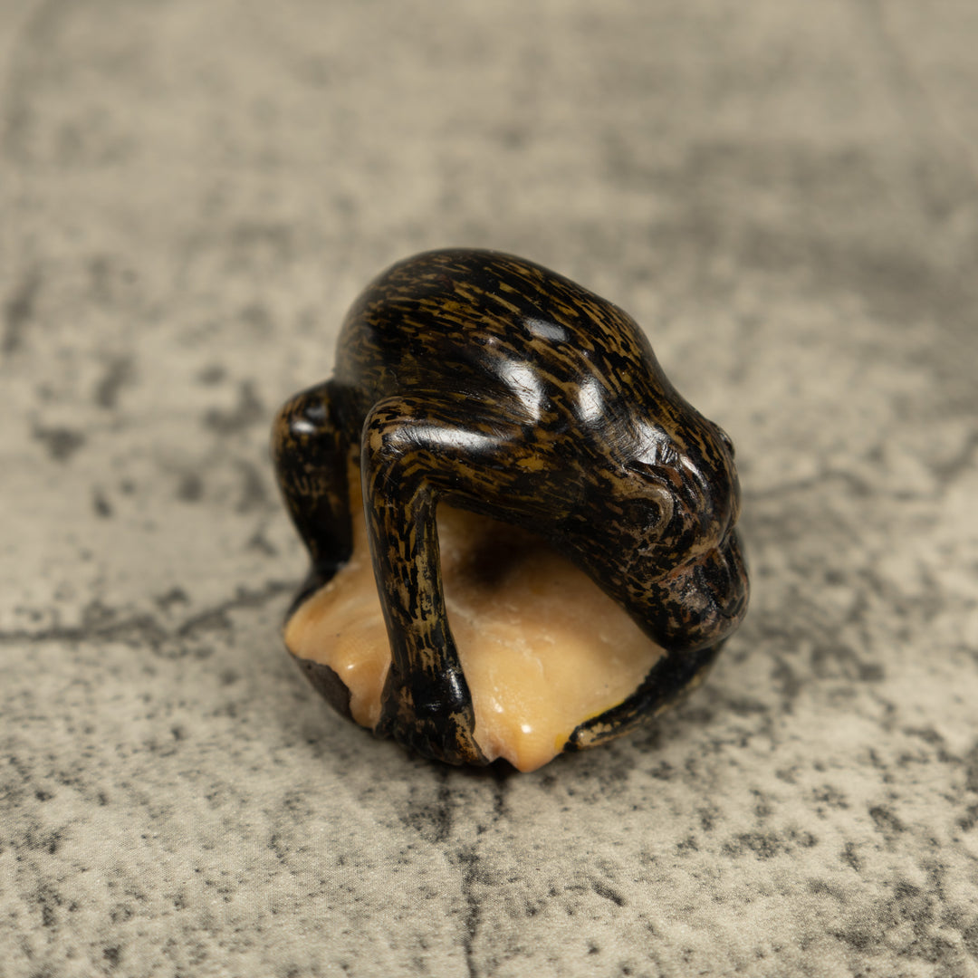 Howlar Monkey Tagua Carving