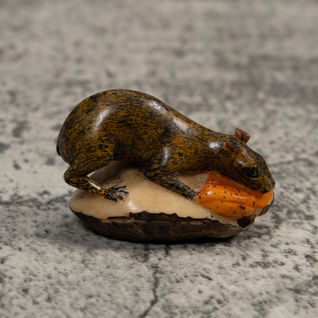 Brown Neque Agouti Eating Lunch Tagua Carving