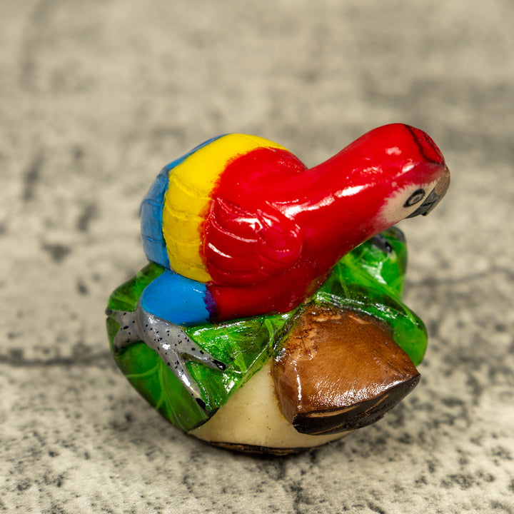 Macaw Parrot Bird Tagua Carving