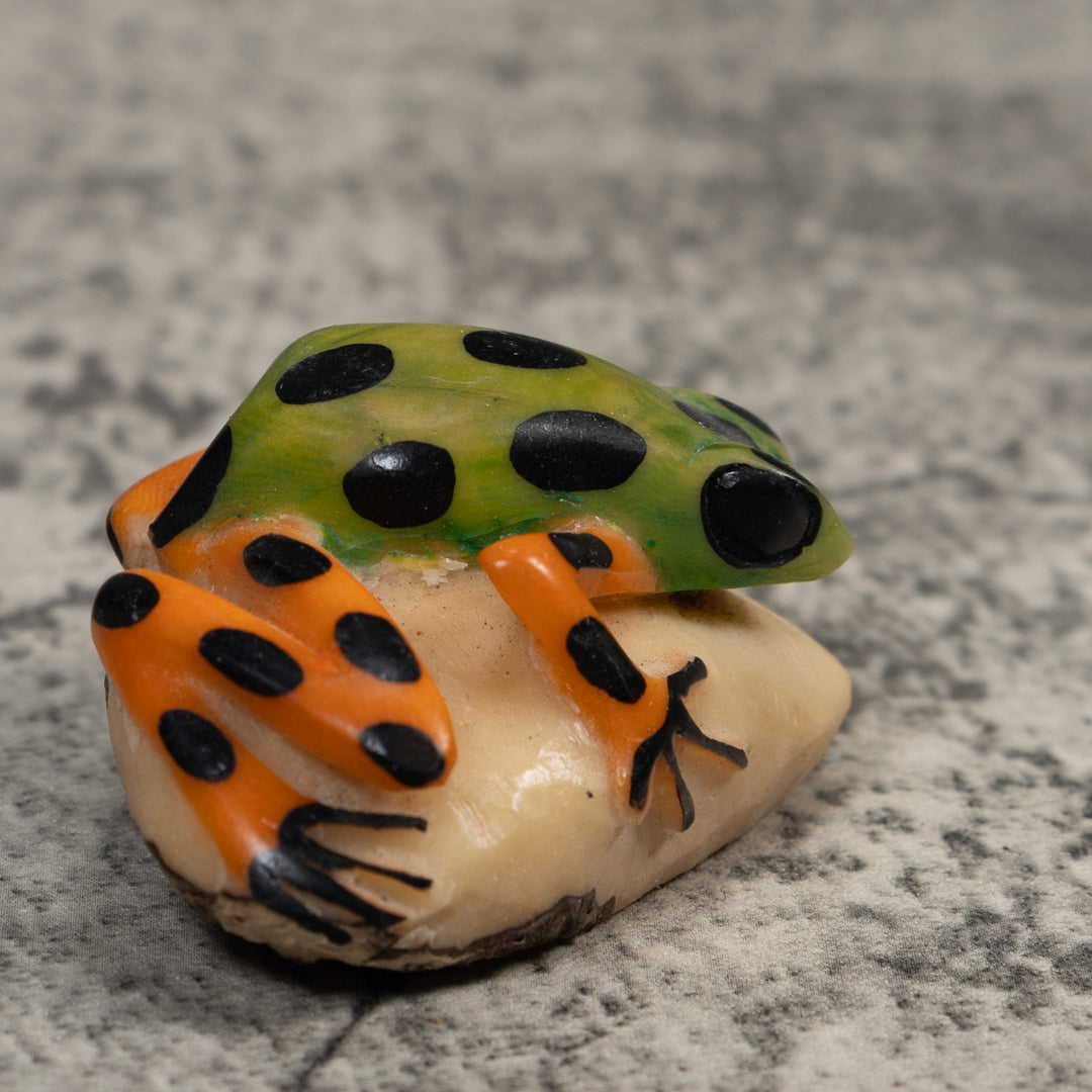 Orange Green And Black Poison Dart  Frog Tagua Carving