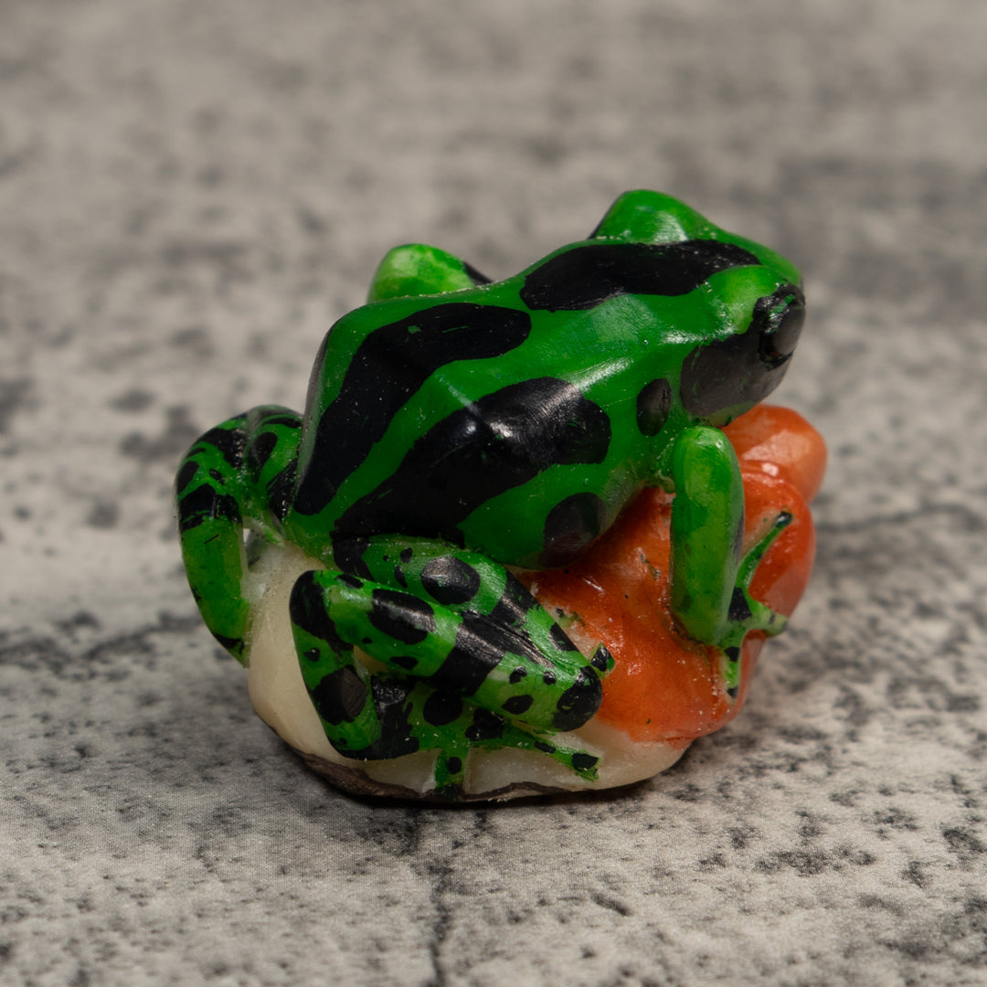 Black Geen And Orange Poison Dart Frog Tagua Carving