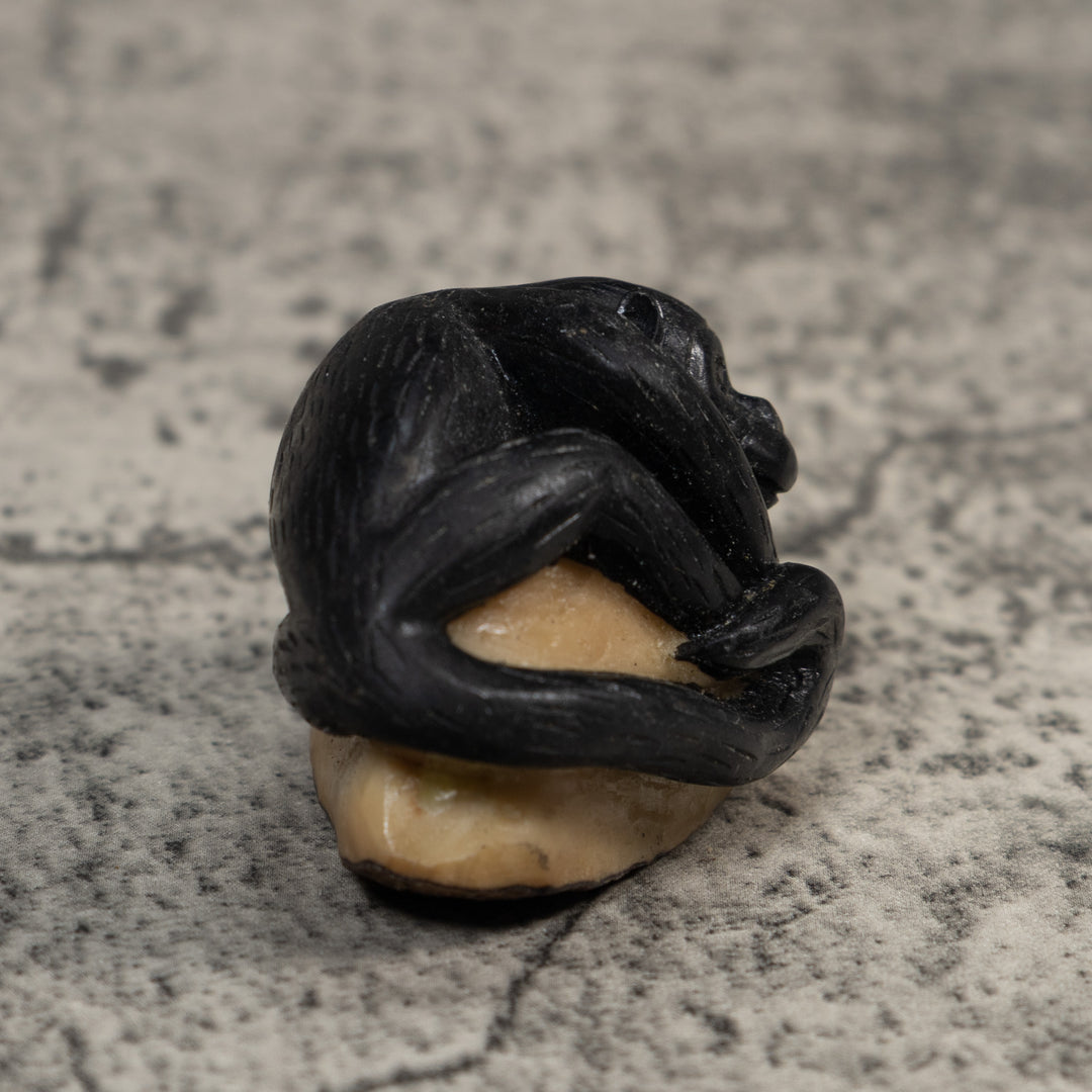 Black Howler Monkey Tagua Carving