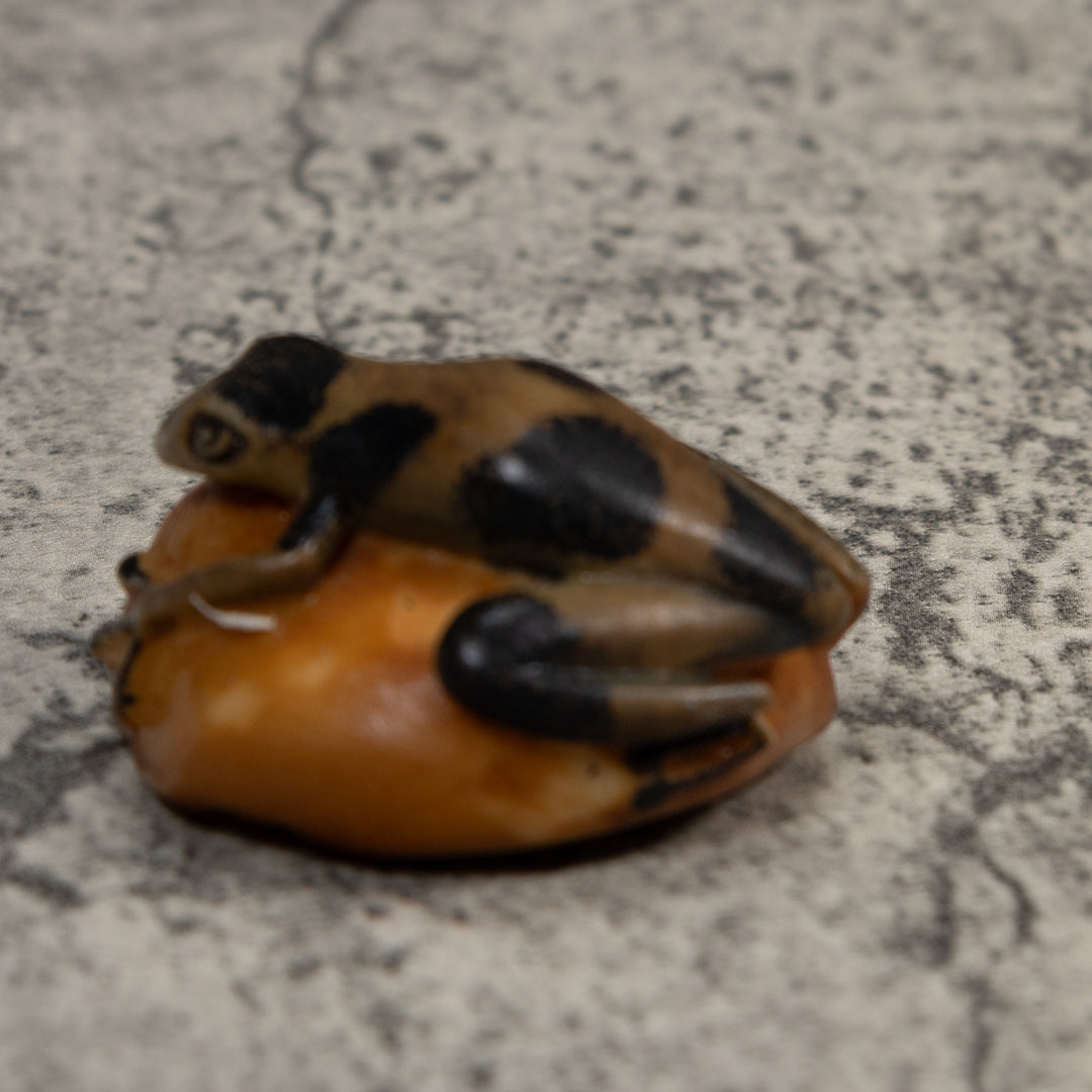 Vintage Green And Black Poison Dart Frog Tagua Carving