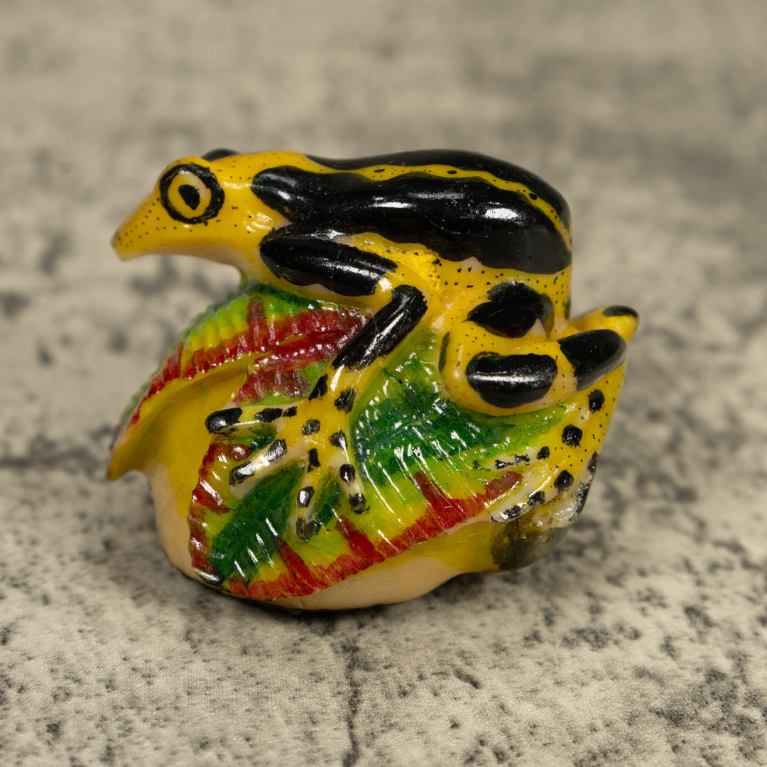 Black And Yellow Poison Dart Frog Tagua Carving