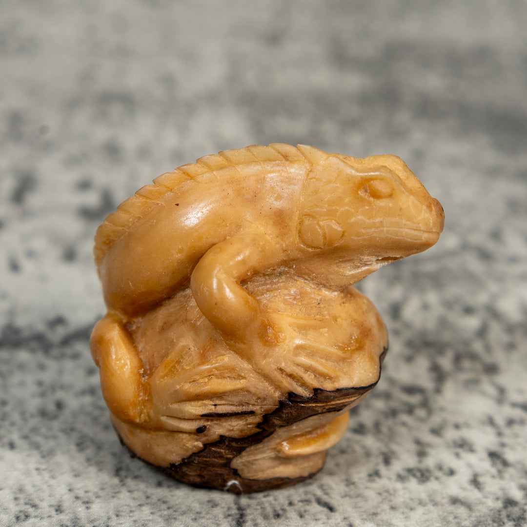 Vintage Dyed Iguana Lizard Tagua Carving