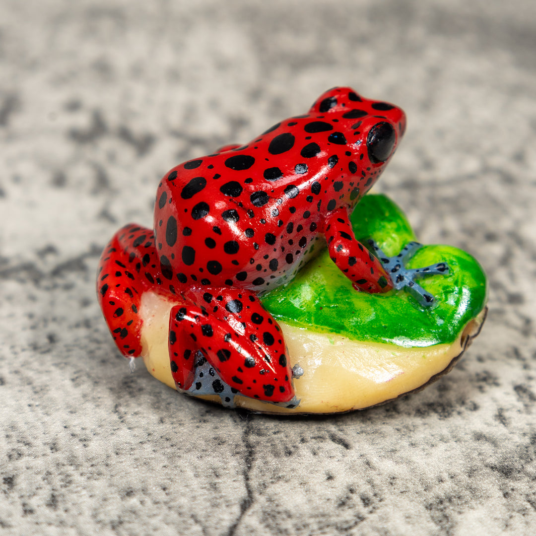 Red Poison Dart Frog Tagua Carving