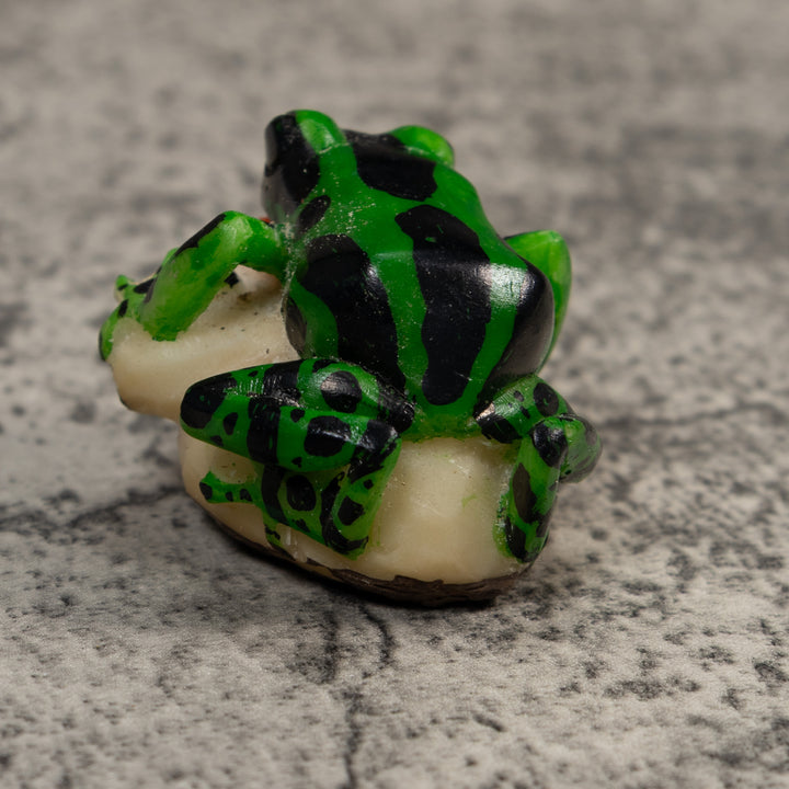 Black Geen And Orange Poison Dart Frog Tagua Carving