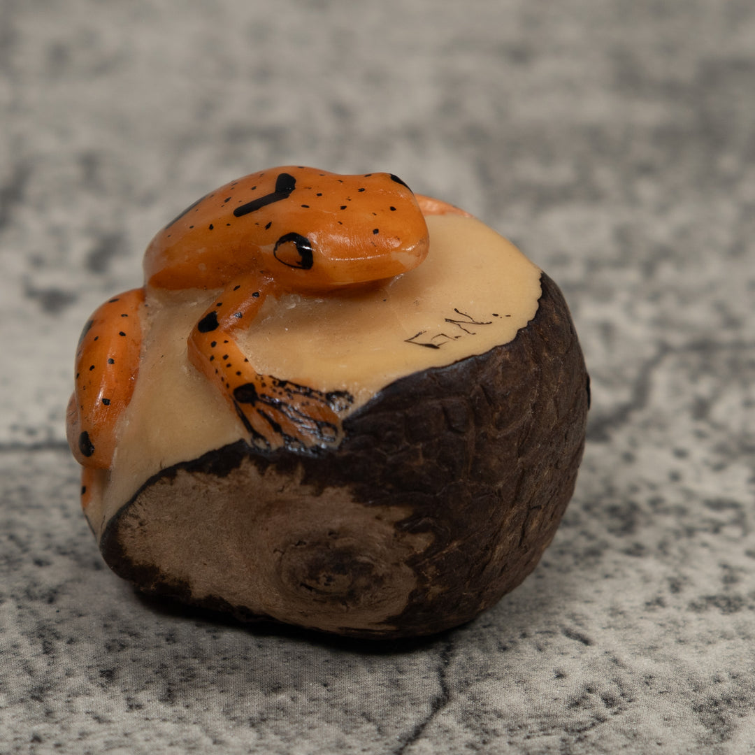 Vintage Poison Dart Frog Tagua Carving